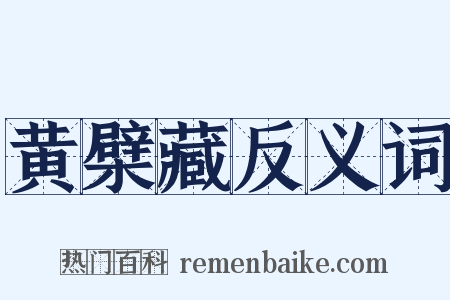 黄檗藏反义词是什么意思的图片